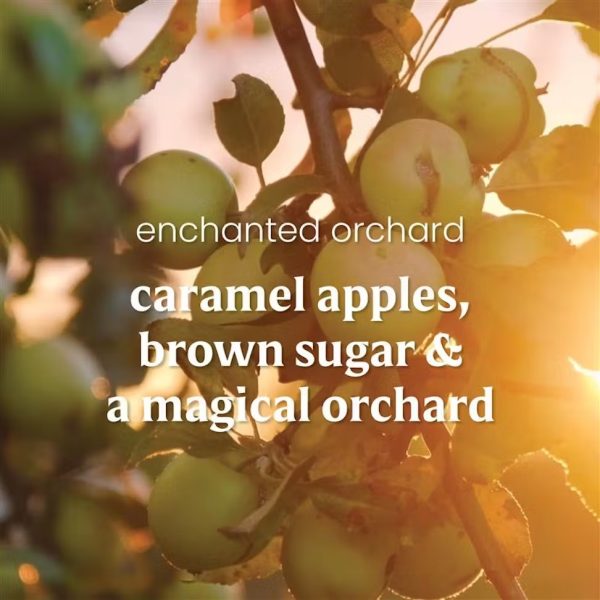 Enchanted Orchard